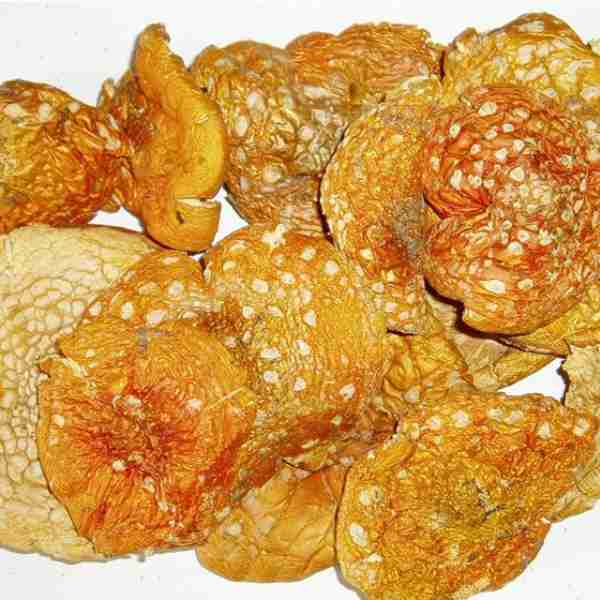 Amanita Muscaria Сухой керамика и микродозировка