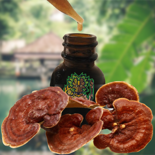 Красный рейши Ling Zhi (Ganoderma lucidum), 100% BIO — маточная настойка